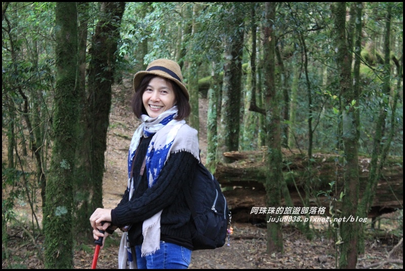 鳶嘴稍來步道37.JPG 鳶嘴稍來步道37.JPG