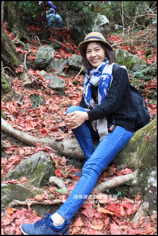 鳶嘴稍來步道38.JPG 鳶嘴稍來步道38.JPG