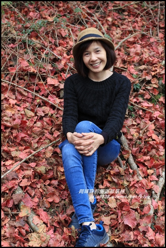 鳶嘴稍來步道41.JPG 鳶嘴稍來步道41.JPG