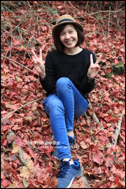 鳶嘴稍來步道42.JPG 鳶嘴稍來步道42.JPG