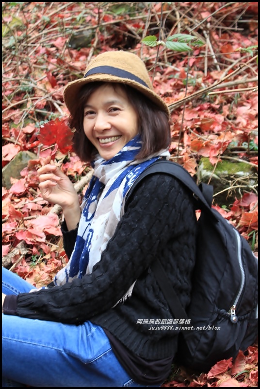 鳶嘴稍來步道45.JPG 鳶嘴稍來步道45.JPG