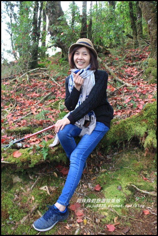 鳶嘴稍來步道47.JPG 鳶嘴稍來步道47.JPG