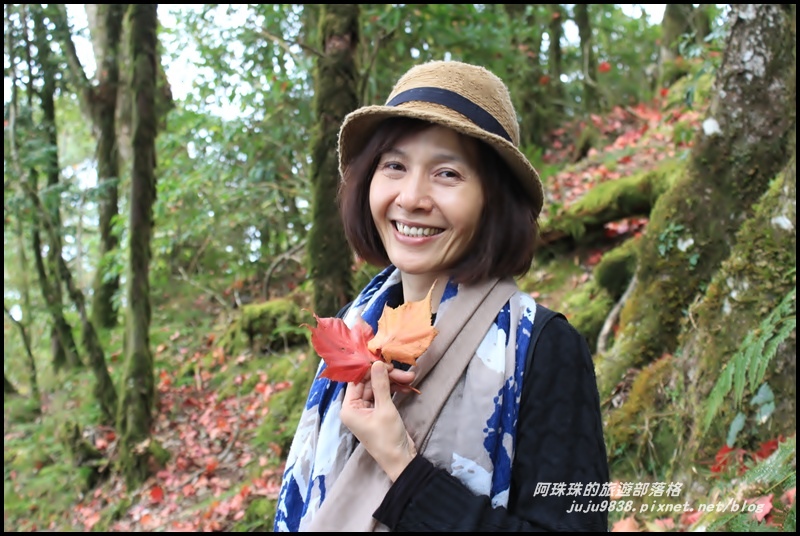 鳶嘴稍來步道50.JPG 鳶嘴稍來步道50.JPG