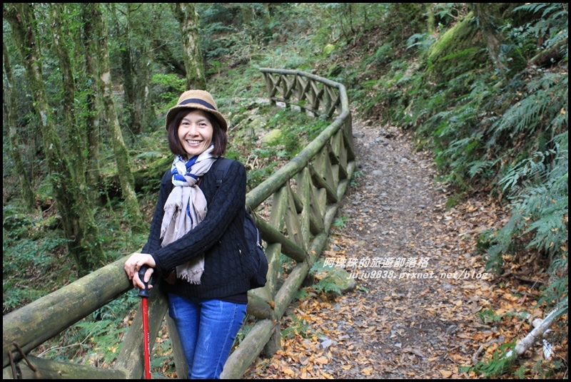 鳶嘴稍來步道51.JPG 鳶嘴稍來步道51.JPG