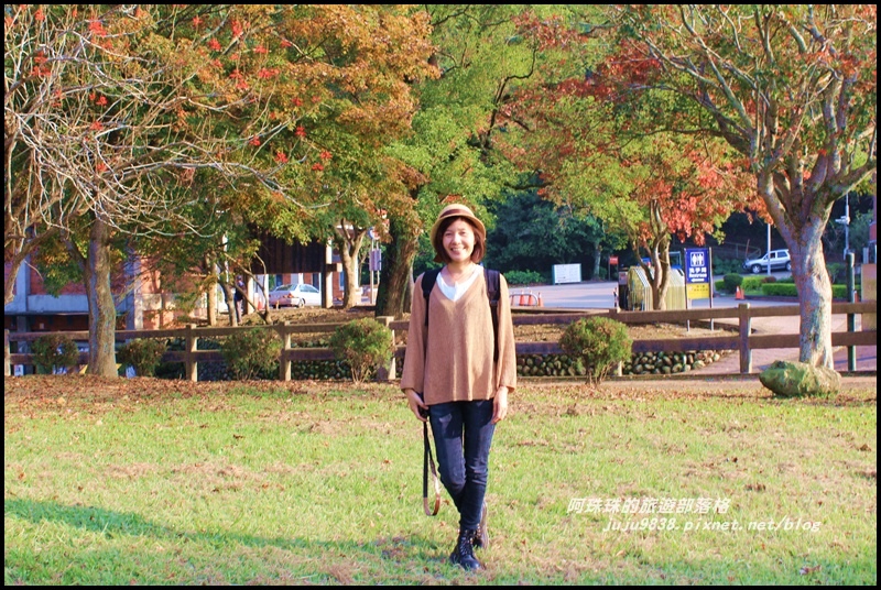 石門水庫楓紅2.JPG 石門水庫楓紅2.JPG