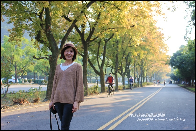 石門水庫楓紅4.JPG 石門水庫楓紅4.JPG