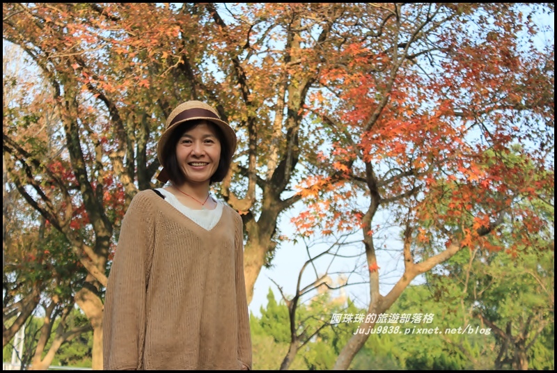 石門水庫楓紅6.JPG 石門水庫楓紅6.JPG