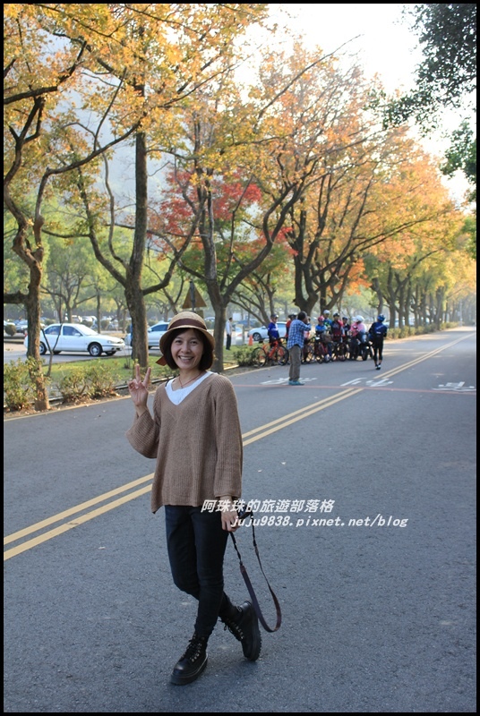 石門水庫楓紅7.JPG 石門水庫楓紅7.JPG