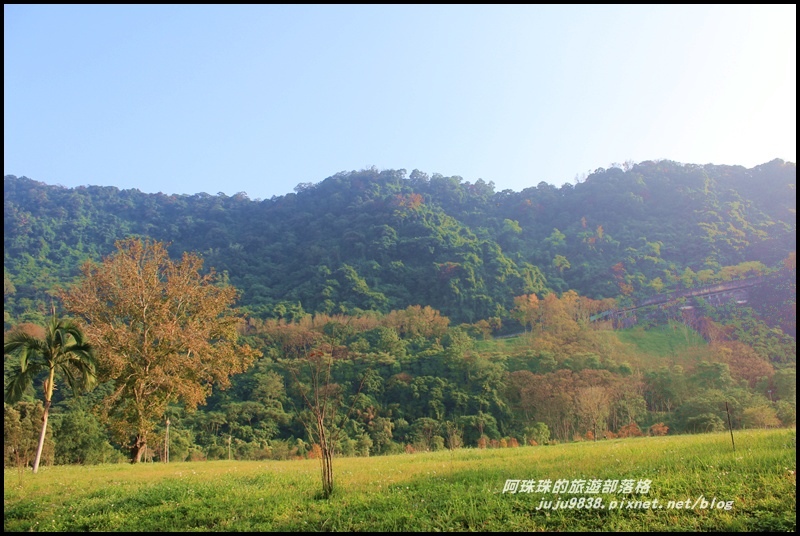 石門水庫楓紅10.JPG 石門水庫楓紅10.JPG