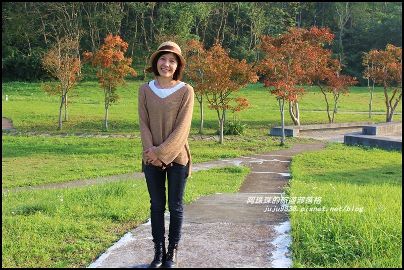 石門水庫楓紅11.JPG 石門水庫楓紅11.JPG