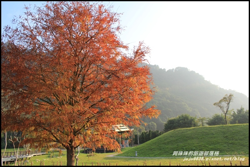 石門水庫楓紅20.JPG