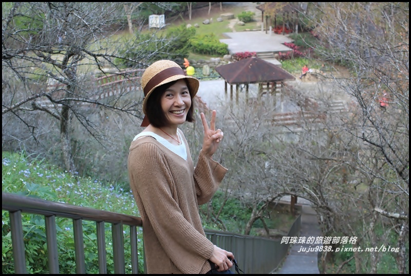 石門水庫楓紅23.JPG 石門水庫楓紅23.JPG