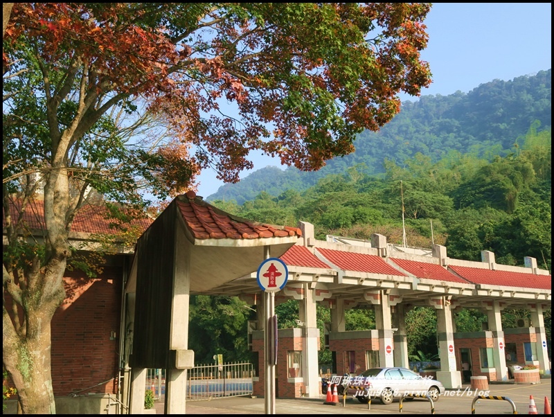 石門水庫楓紅25.JPG 石門水庫楓紅25.JPG