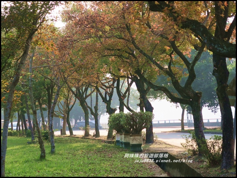 石門水庫楓紅35.JPG 石門水庫楓紅35.JPG