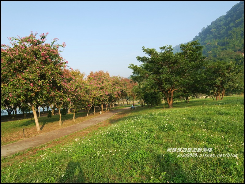 石門水庫楓紅39.JPG 石門水庫楓紅39.JPG