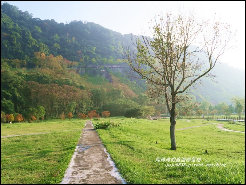 石門水庫楓紅41.JPG 石門水庫楓紅41.JPG