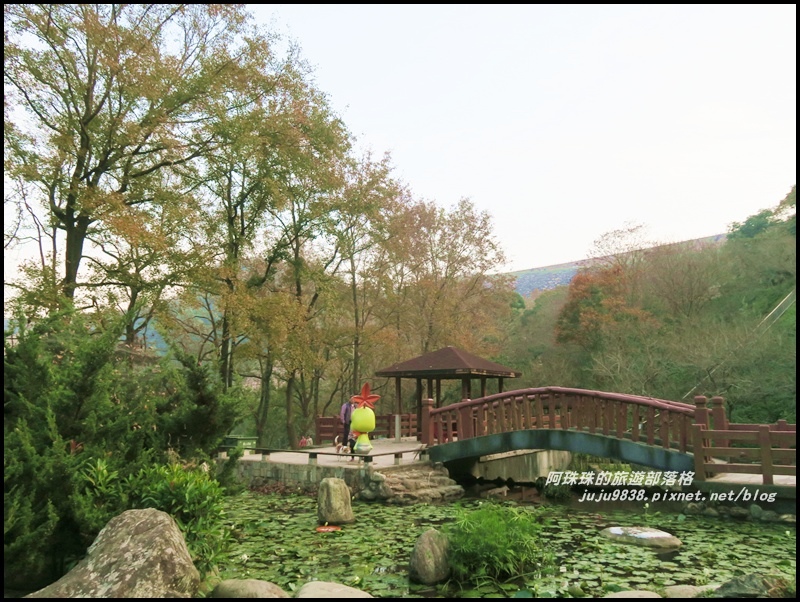 石門水庫楓紅57.JPG 石門水庫楓紅57.JPG