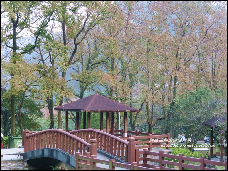 石門水庫楓紅56.JPG 石門水庫楓紅56.JPG