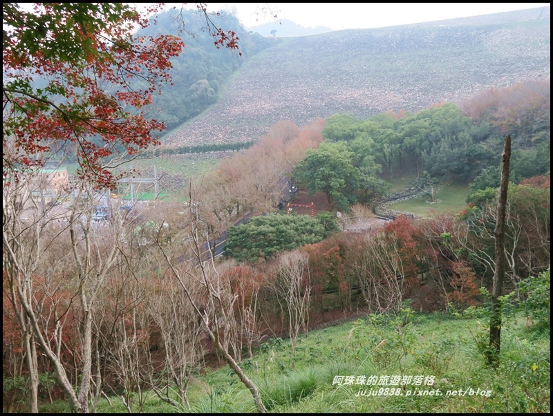 石門水庫楓紅61.JPG 石門水庫楓紅61.JPG