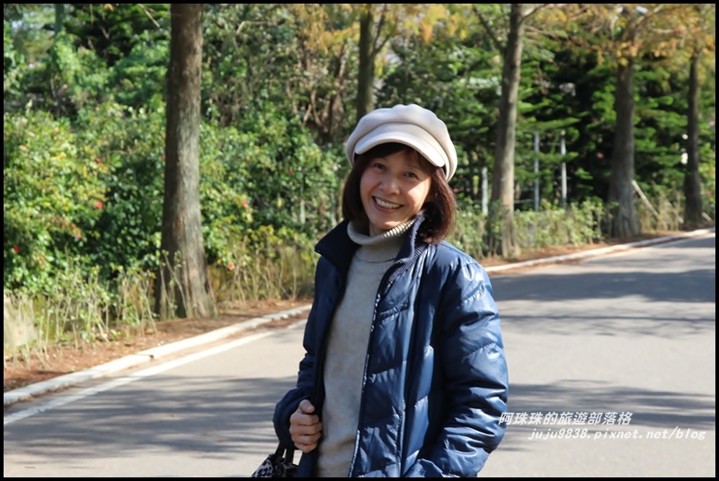 大溪落羽松大道9.JPG 大溪落羽松大道9.JPG