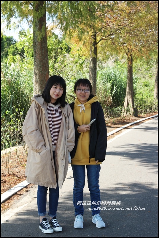 大溪落羽松大道10.JPG 大溪落羽松大道10.JPG