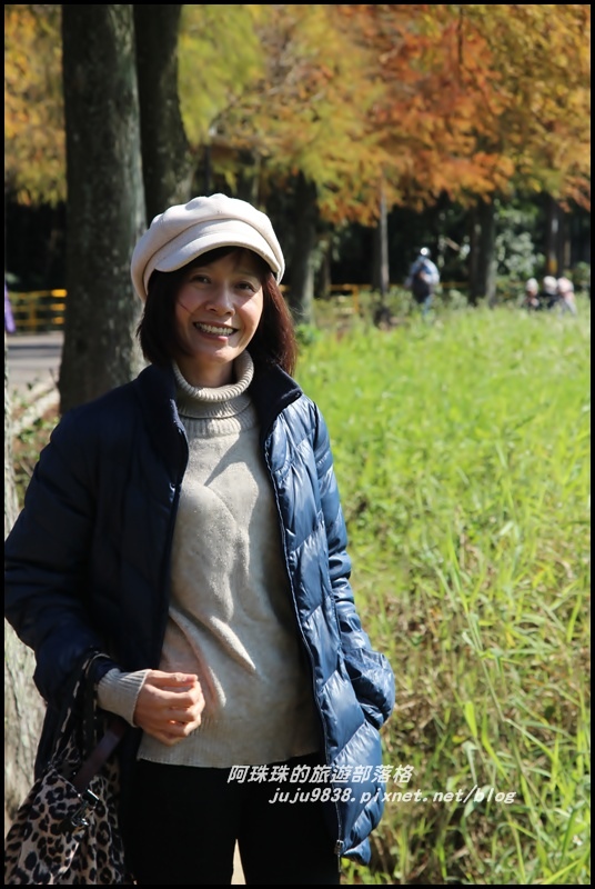 大溪落羽松大道12.JPG 大溪落羽松大道12.JPG