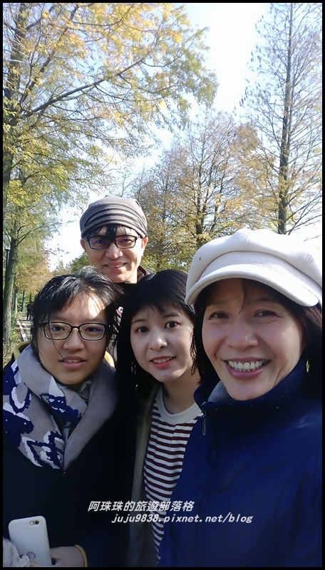 大溪落羽松大道36 大溪落羽松大道36