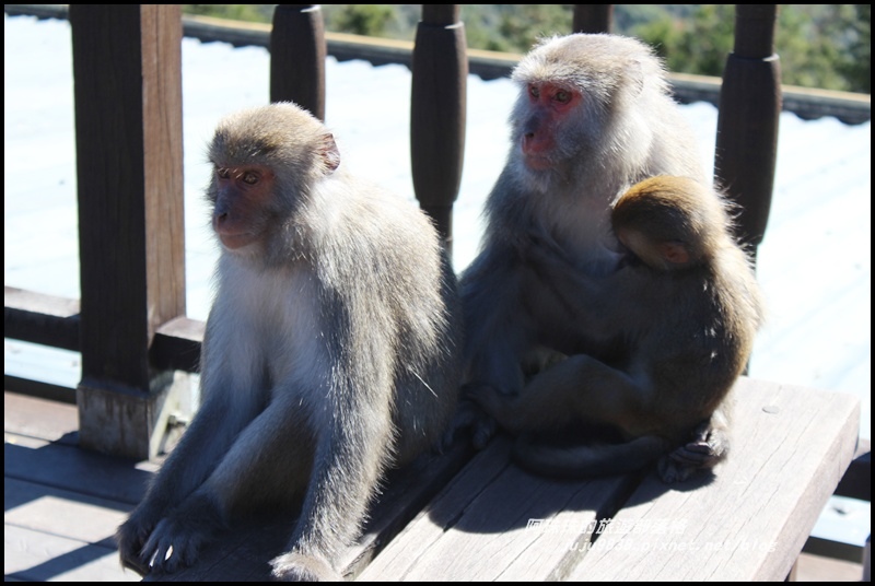 茂興懷舊古道5.JPG 茂興懷舊古道5.JPG