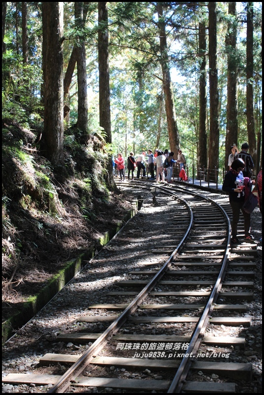 茂興懷舊古道11.JPG 茂興懷舊古道11.JPG