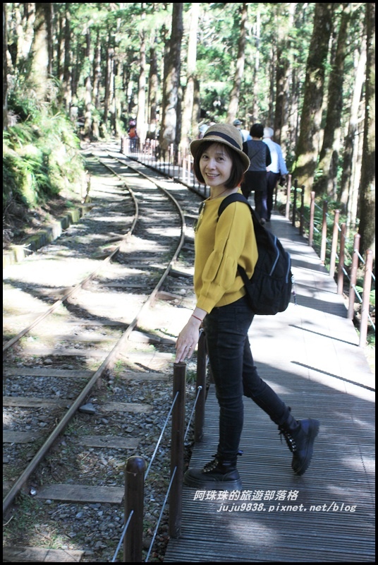 茂興懷舊古道14.JPG 茂興懷舊古道14.JPG