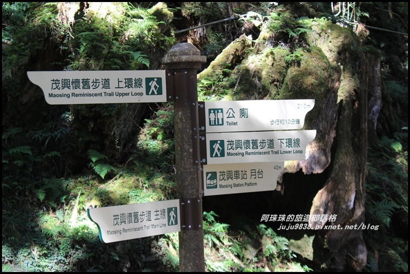 茂興懷舊古道16.JPG 茂興懷舊古道16.JPG