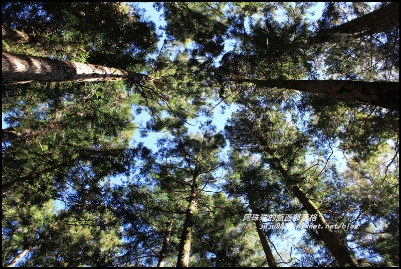 茂興懷舊古道17.JPG 茂興懷舊古道17.JPG