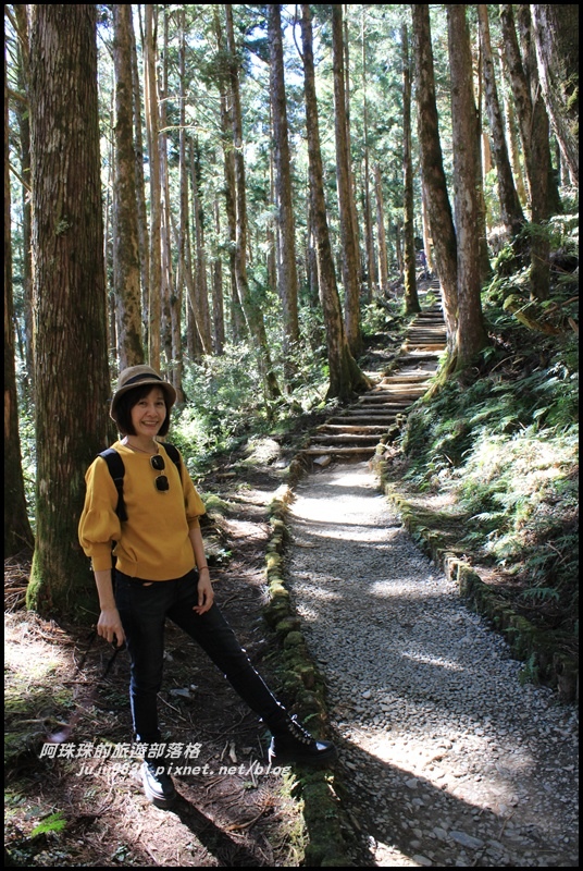 茂興懷舊古道19.JPG 茂興懷舊古道19.JPG