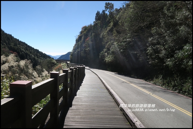 茂興懷舊古道26.JPG 茂興懷舊古道26.JPG