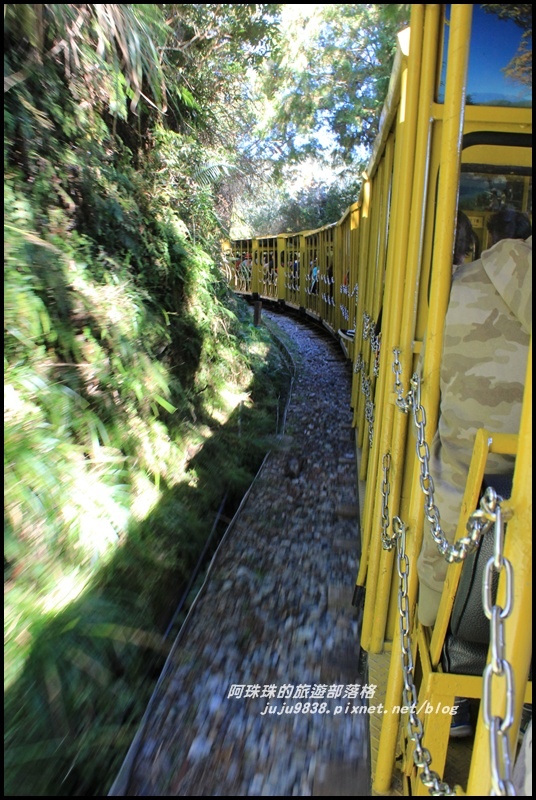 茂興懷舊古道25.JPG 茂興懷舊古道25.JPG