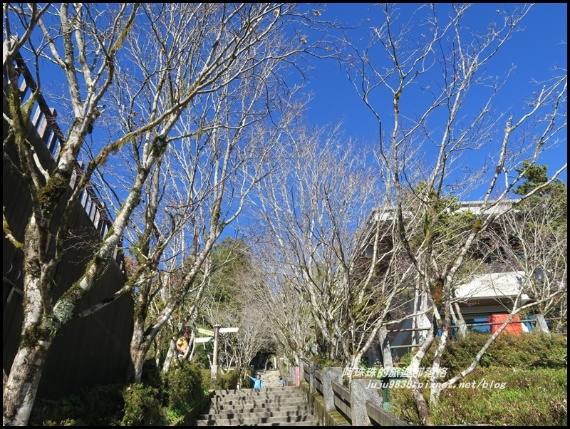 茂興懷舊古道29.JPG 茂興懷舊古道29.JPG