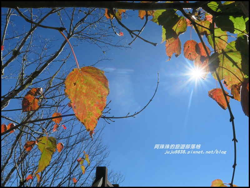 茂興懷舊古道30.JPG 茂興懷舊古道30.JPG