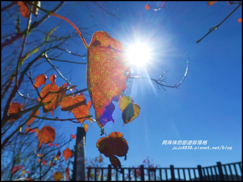 茂興懷舊古道31.JPG 茂興懷舊古道31.JPG