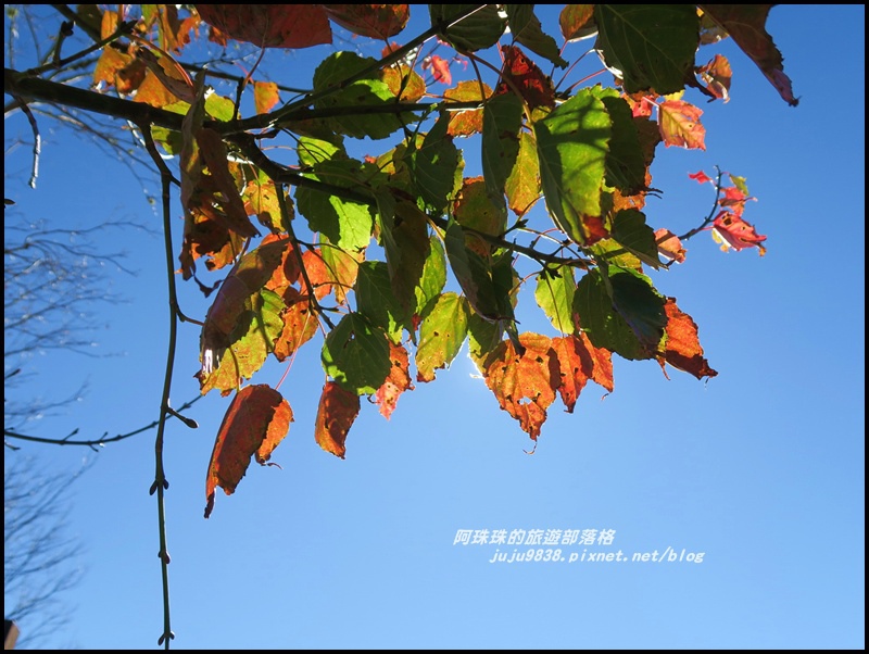 茂興懷舊古道32.JPG 茂興懷舊古道32.JPG