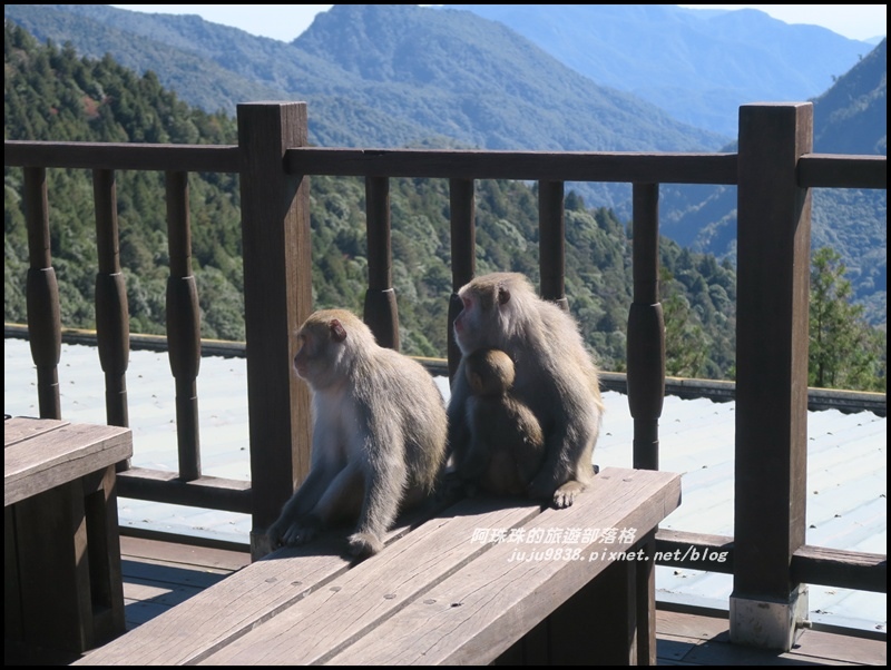 茂興懷舊古道33.JPG 茂興懷舊古道33.JPG