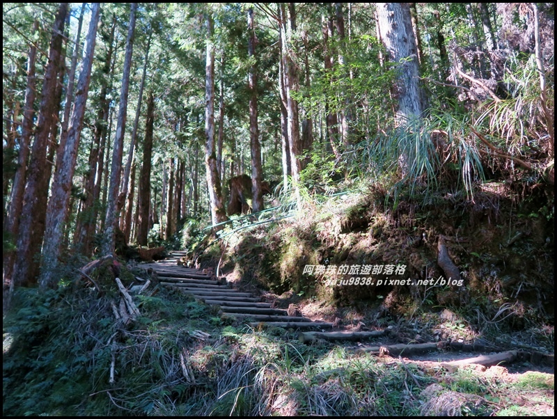 茂興懷舊古道35.JPG 茂興懷舊古道35.JPG