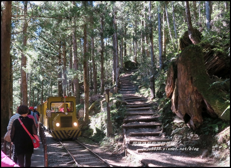 茂興懷舊古道37.JPG 茂興懷舊古道37.JPG