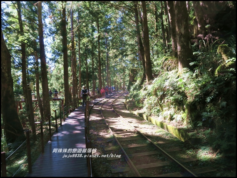 茂興懷舊古道39.JPG 茂興懷舊古道39.JPG