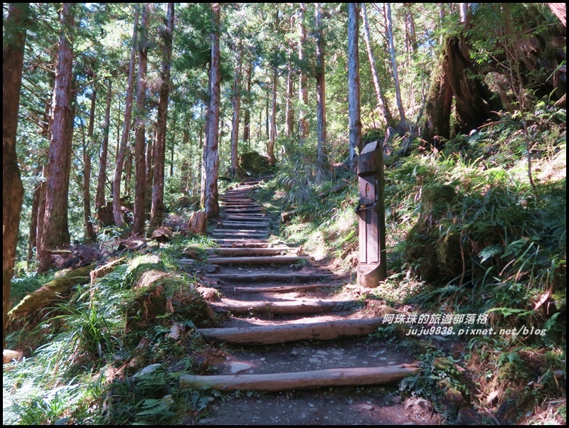 茂興懷舊古道38.JPG 茂興懷舊古道38.JPG