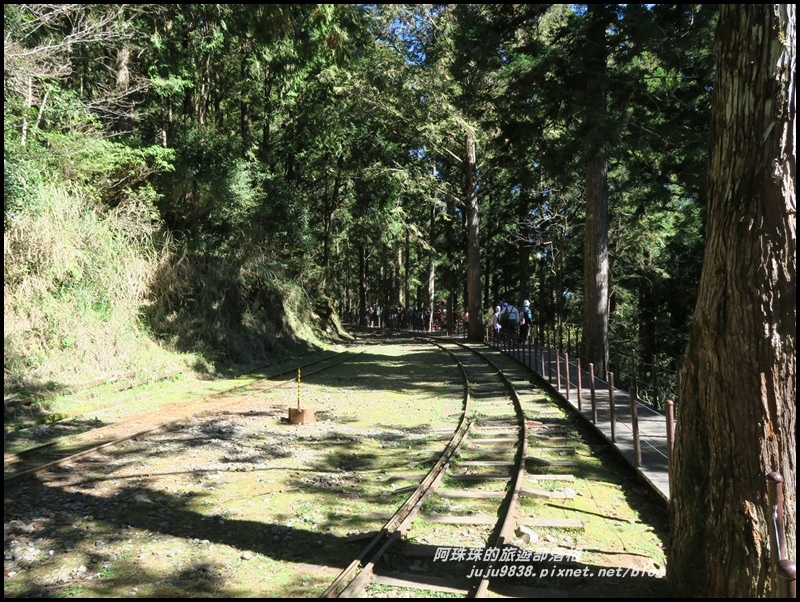 茂興懷舊古道41.JPG 茂興懷舊古道41.JPG