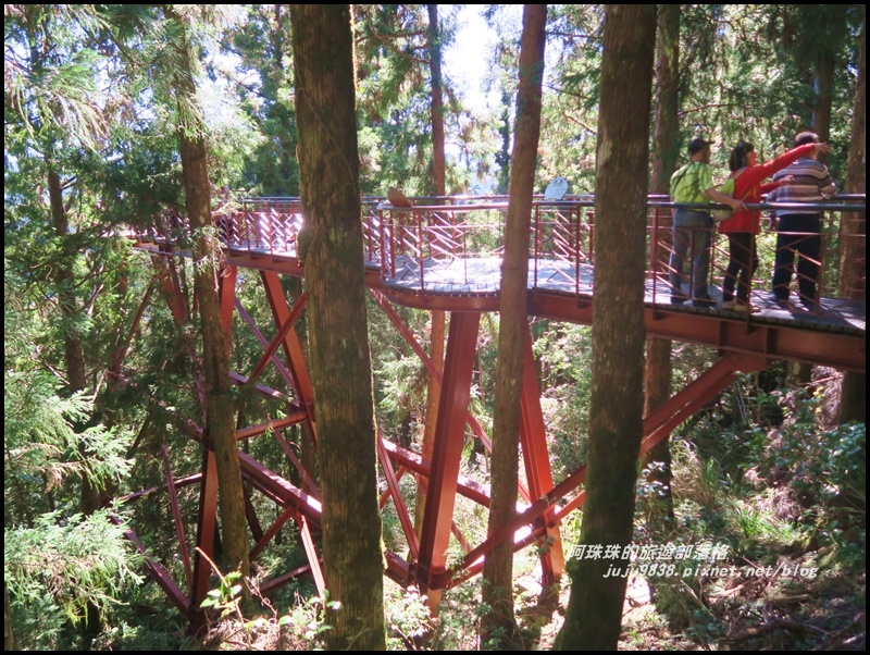 茂興懷舊古道40.JPG 茂興懷舊古道40.JPG