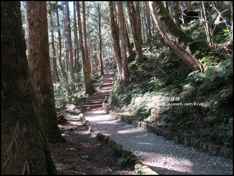 茂興懷舊古道43.JPG 茂興懷舊古道43.JPG