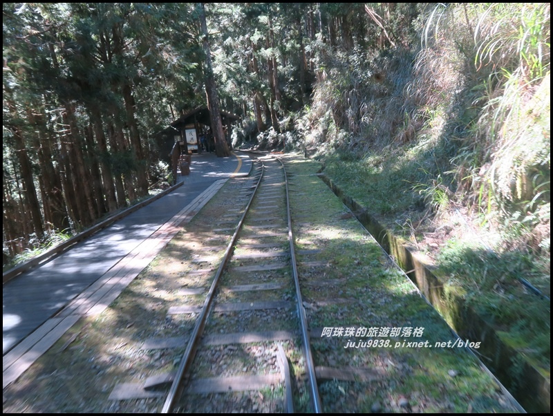 茂興懷舊古道46.JPG 茂興懷舊古道46.JPG