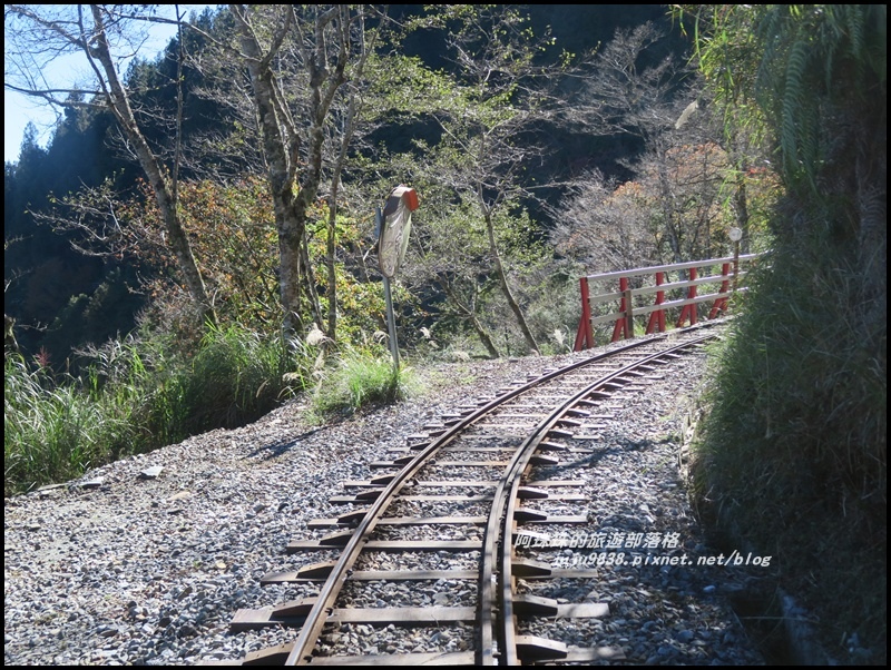 茂興懷舊古道48.JPG 茂興懷舊古道48.JPG