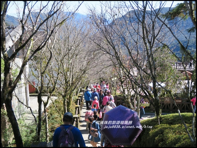 茂興懷舊古道49.JPG 茂興懷舊古道49.JPG